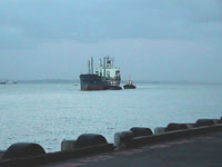 Auckland Harbour