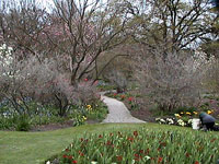 Botanical Gardens, Hagley Park, Christchurch