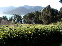 Diamond Harbour, view of port hills from Godley House