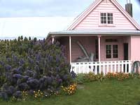 Cooper's Cottage, Kaikoura