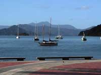 Picton harbour