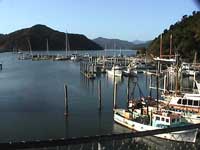 Picton marina & Marlborough Sounds