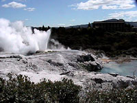 Pohutu Geyser