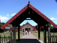 Te Whakarewarewa