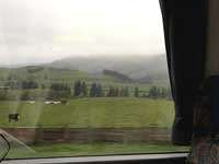 Tranzscenic train ride to Kaikoura