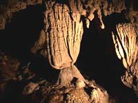 glowworm cave