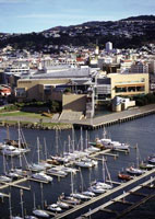 Te Papa and Chaffers Marina