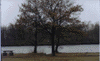 Charles River